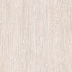 Дуб атланта Дуб атланта