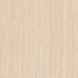 Дуб беленый Дуб беленый