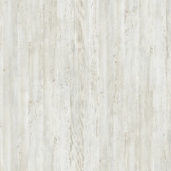 Дуб винтерберг Дуб винтерберг