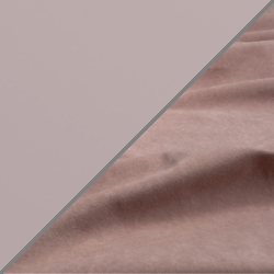 Пудра/Пыльная роза Пудра/Пыльная роза