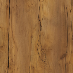 Таксония Таксония