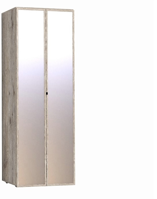 Шкаф для одежды с фасадами Зеркала (2 шт) Nature 54 гаскон