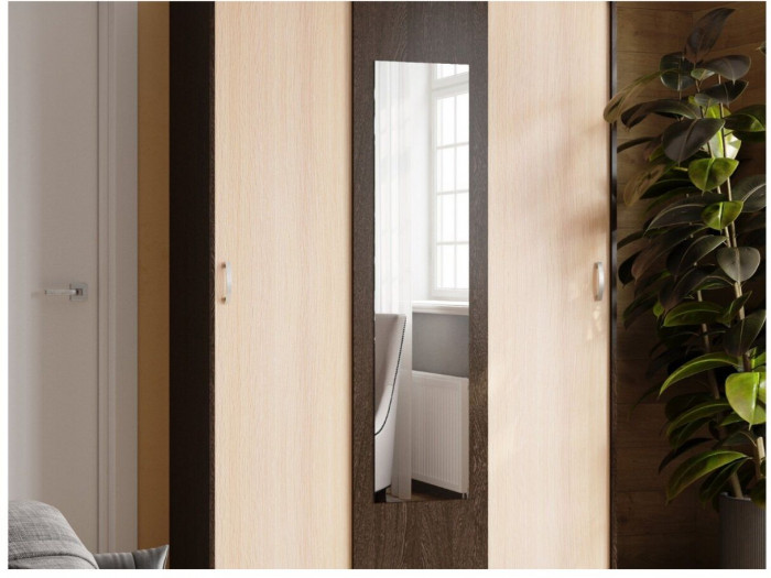 Шкаф-купе Бася венге/дуб молочный