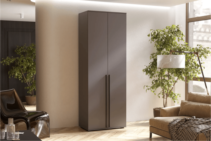 Норд Шкаф двухстворчатый 800 графит