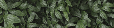 Фартук для кухни «Ботанический сад», 244×0.3×61 см